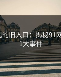 重新发现的旧入口：揭秘91网背后的91大事件