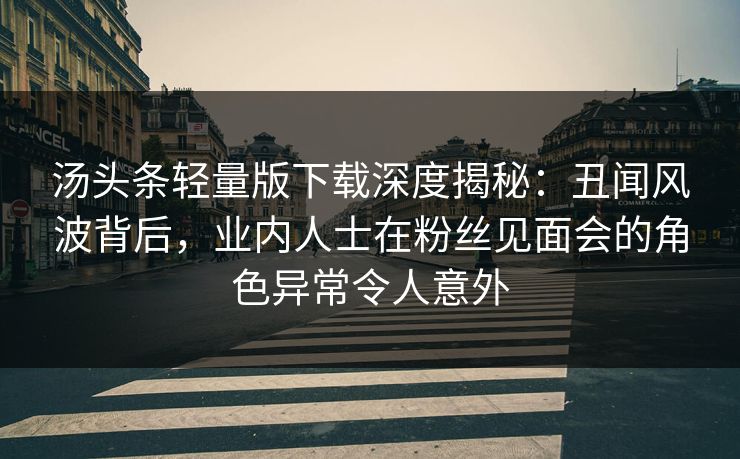 汤头条轻量版下载深度揭秘：丑闻风波背后，业内人士在粉丝见面会的角色异常令人意外