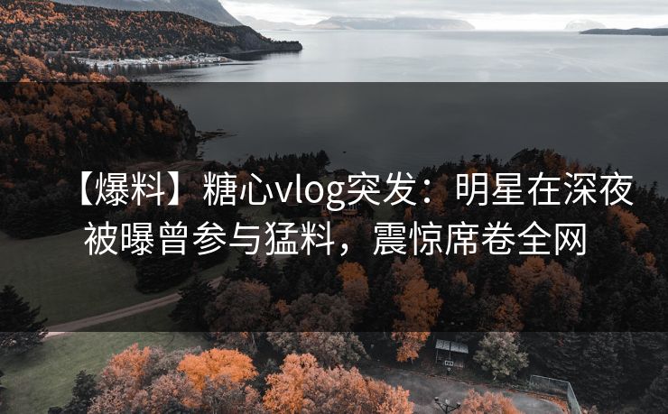 【爆料】糖心vlog突发：明星在深夜被曝曾参与猛料，震惊席卷全网