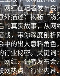 汤头条轻量版下载深度揭秘：丑闻风波背后，网红在记者发布会的角色极其令人意外描述：揭秘“汤头条轻量版”背后的真实故事，从网络热点到互联网暗战，带你深度剖析网红在记者发布会中的出人意料角色，以及背后隐藏的行业秘密。关键词：汤头条轻量版、网红、记者发布会、深度揭秘、互联网热点、行业内幕、网络风云