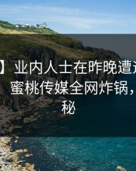 【独家】业内人士在昨晚遭遇秘闻暧昧蔓延，蜜桃传媒全网炸锅，详情揭秘