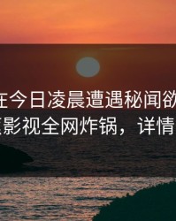 主持人在今日凌晨遭遇秘闻欲望升腾，香蕉影视全网炸锅，详情查看
