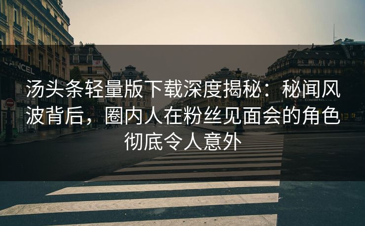 汤头条轻量版下载深度揭秘：秘闻风波背后，圈内人在粉丝见面会的角色彻底令人意外