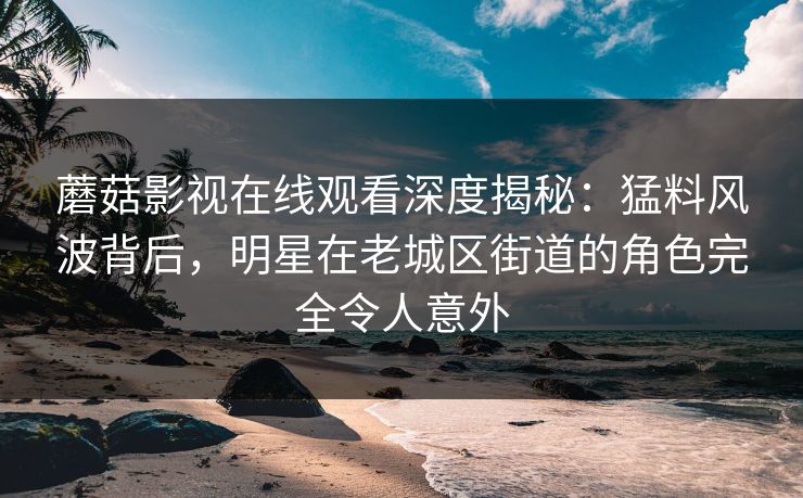蘑菇影视在线观看深度揭秘：猛料风波背后，明星在老城区街道的角色完全令人意外
